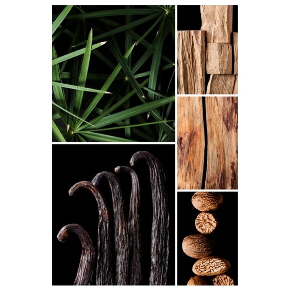 Penhaligon's Babylon, Warm, Spicy, Cedar, NEW - Sample 0.34 oz. 10 ml. - Picture 5 of 9